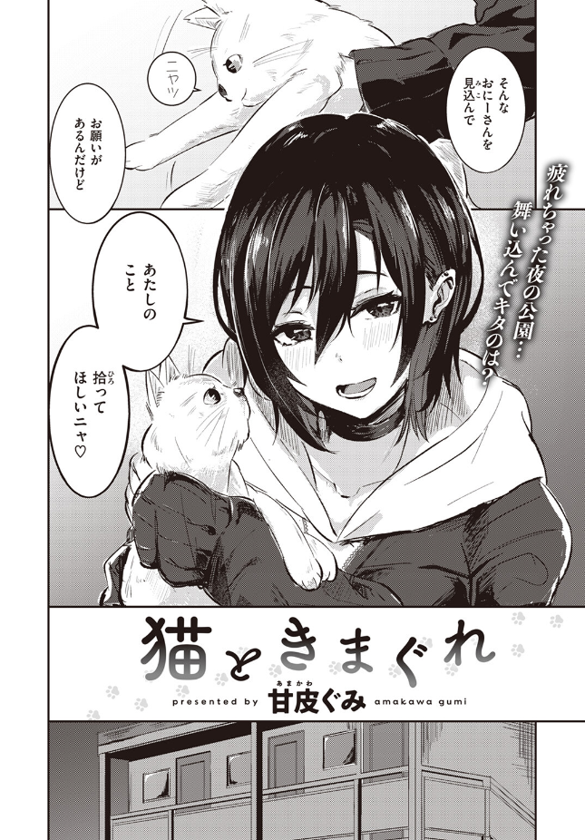 【単話】甘皮ぐみ【猫ときまぐれ】｜COMIC快楽天ビースト